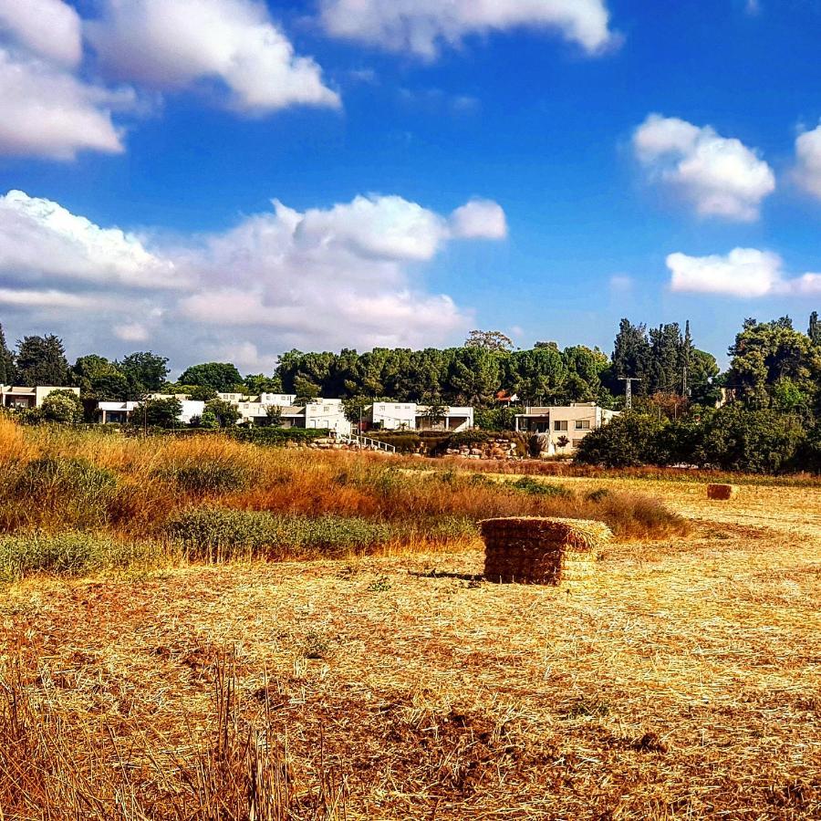 Kibbutz Nachshon Bed & Breakfast Exterior foto