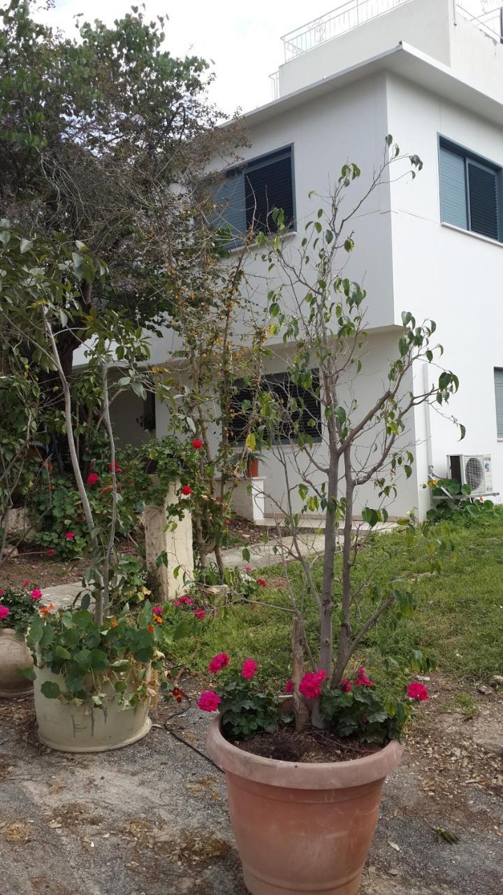 Kibbutz Nachshon Bed & Breakfast Exterior foto